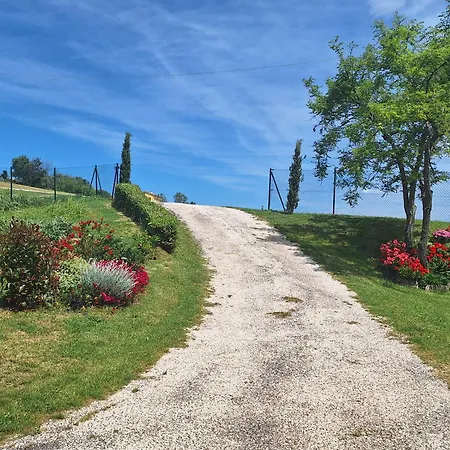 La Casa Di Vandina Senigallia