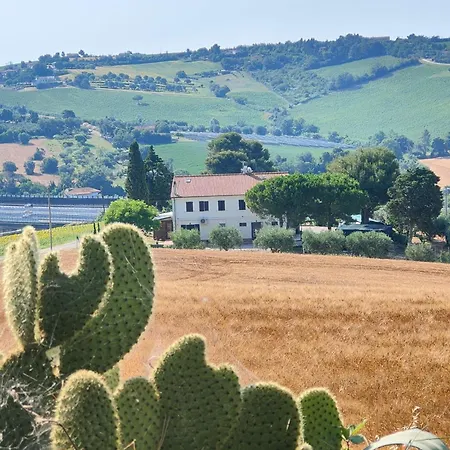 La Casa Di Vandina Senigallia