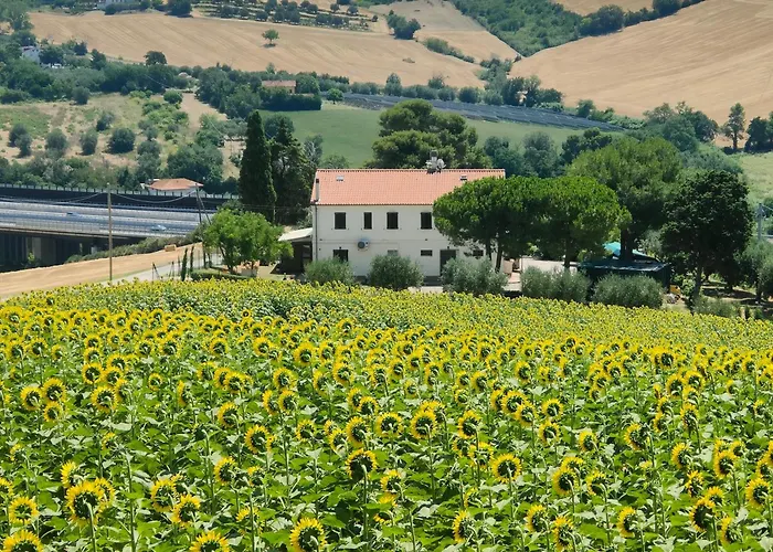Apartment La Casa Di Vandina Senigallia
